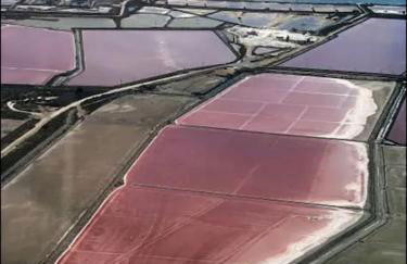 Studio mi casa es su casa - Photo 31