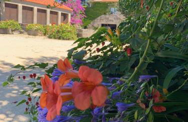 Quinta De Guimaraes - Foto 15