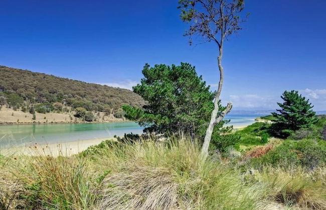 Steeles Island Retreat - Foto 24