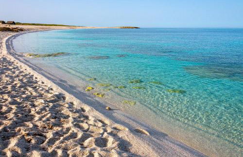 Da Assunta - Foto 30