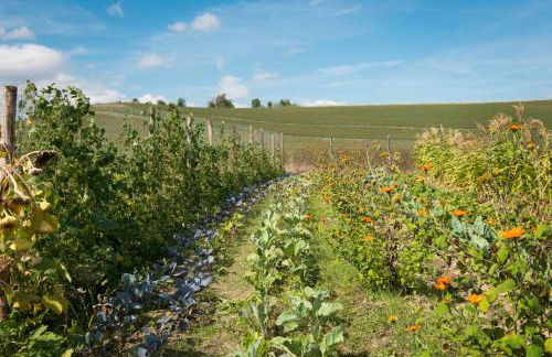 Borgo Pignano Volterra Tuscany - Photo 150