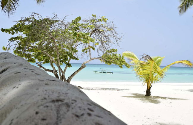Excursión a isla Saona en catamarán - Foto 7