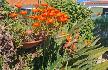 Pateo da Memória-Casa do Artesão - Foto 42