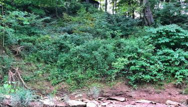 Salt Creek Cabin - Foto 3