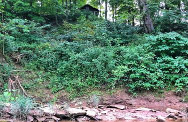 Salt Creek Cabin - Foto 3