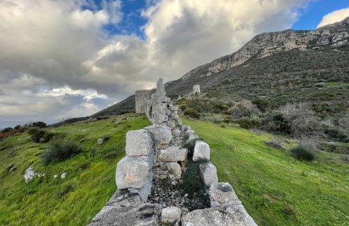 Stonevillas and Seaview Garden Marion - Foto 59