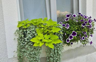 Apartment Ksenija 2 rooms, 55m2 brand-new, Floor heating, Air conditioning - Foto 5