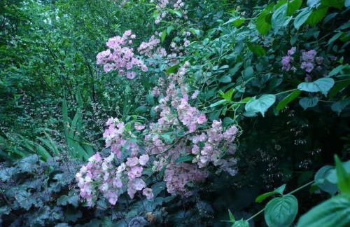 Holiday Home Haus freistehend Sonne Bett 160cm Patio billig by Interhome - Foto 40