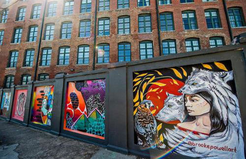 Looking Glass - Foto 12