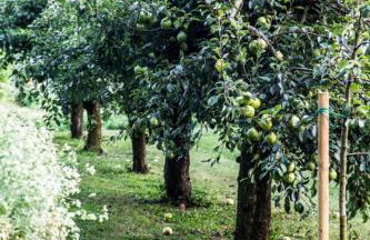 Ca' De Memi - Foto 28