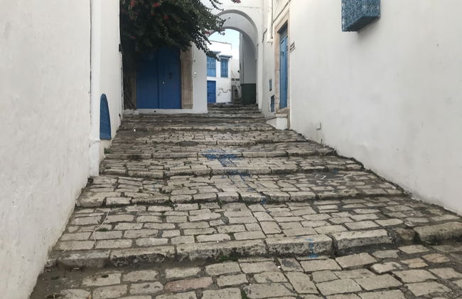 Cosy S3 At Sidi Bou Said Village - Foto 16