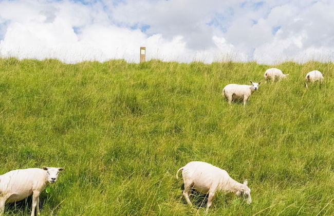 Idyllic Waterfront Vacation Home - Foto 31