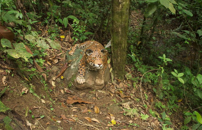 Villas Josipek - Foto 65