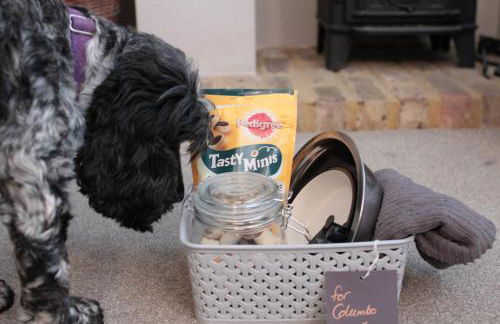 Duck Cottage - Grade II Listed cottage, village location, nr Holt - Foto 51