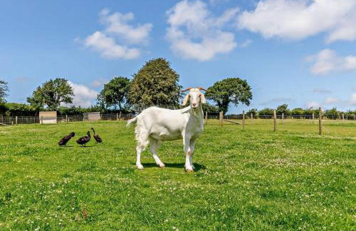 2 Bed in Callington oc-kates - Foto 24