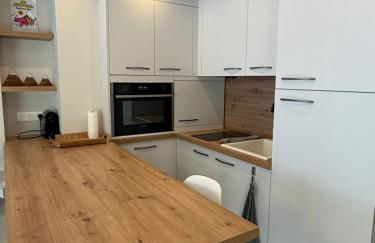 Très beau T2 au pied des pistes - Foto 18