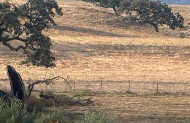 Prairie Home - Foto 42