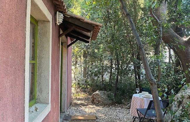 Atelier Bravačić - Foto 18