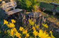 La Foresteria di Podere Muracciolo - Foto 27