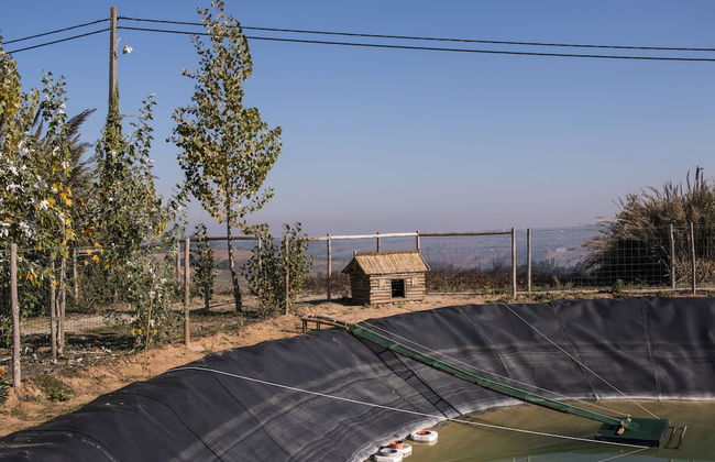 Entre Vinhas & Mar - Foto 65