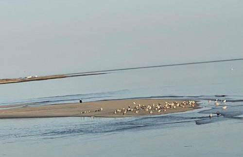 Private Beach Front house Newport, New Jersey - Foto 17