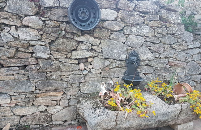 La Plazuela - Photo 23