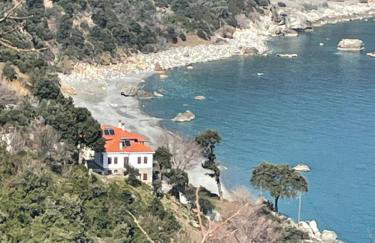 Siki House - Photo 35