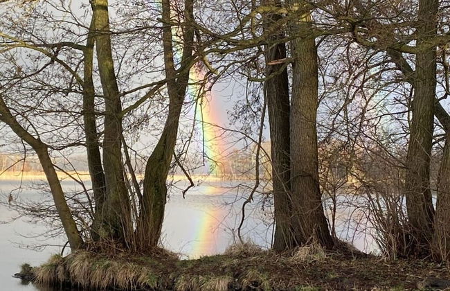 Kugelhaus Tamika - Sauna, Whirlpoolwanne und Kamin am Tollensesee - Foto 41