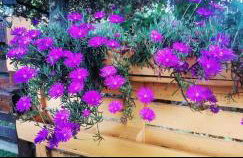 Baita La Stradella - Foto 9