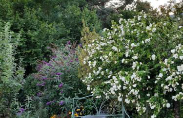 Rottgarten - Foto 44