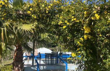 Quinta da Tapada - Foto 44