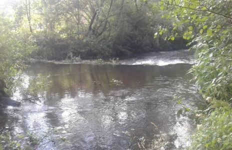 Bubi Niedlich - Foto 39