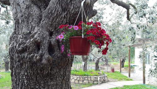 House Christie - Foto 5