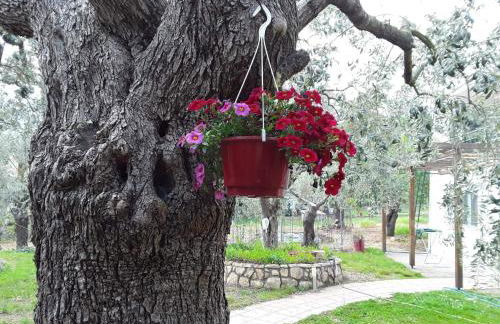 House Christie - Foto 5