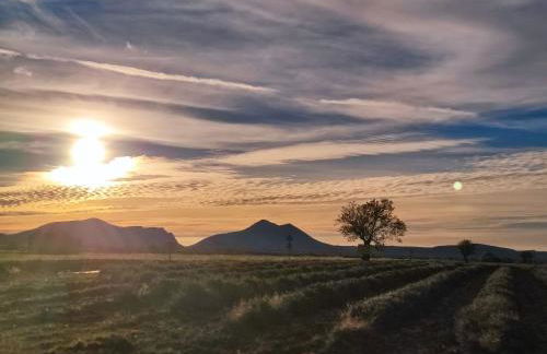 studio meublé classé 2 étoiles - 30m² - Foto 18