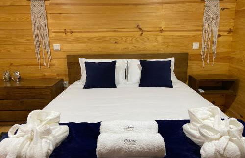 Quinta OUTONO DOURADO - Foto 47