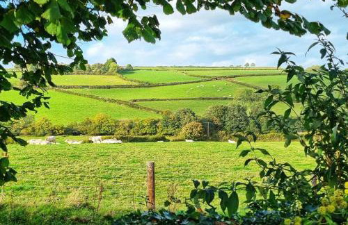 Lovely Little Garden Cottage, Tamar Valley, Cornwall - Photo 18