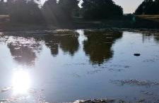 Maria Santian - Foto 20