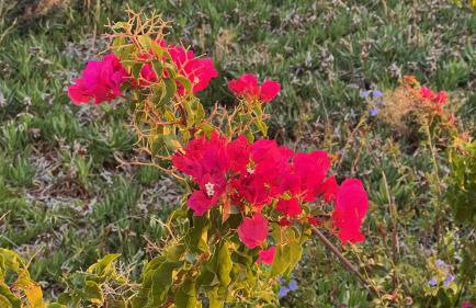 Luxurious villa at a unique spot - Foto 54