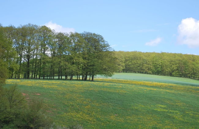 Chic Apartment in Thuringia With Sauna - Foto 59