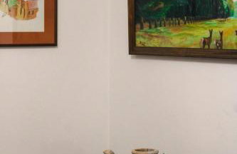 Dobranić - Kuća za odmor - Foto 42