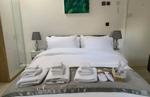 Annex D. One Bedroom flat in south London - Foto 14