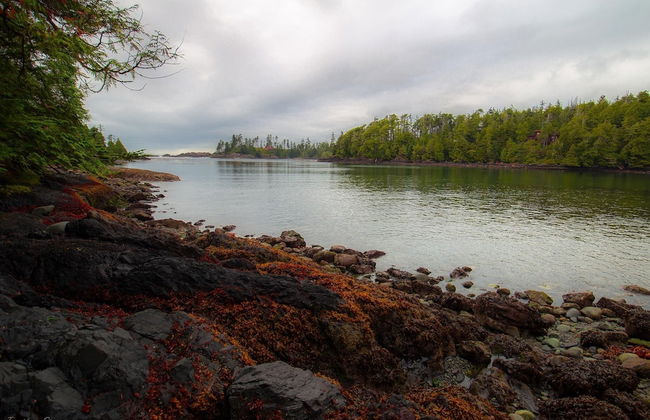 Black Bear Cottage - Photo 19