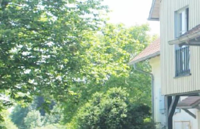 Schnyder Ranch - Foto 13