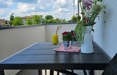 Old Town Đurđevac- 1 garažno mjesto, besplatan wifi te ulaznice za Hrvatsku saharu, mini zoo - Foto 34