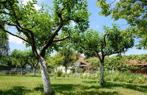 Apartment Mia - Foto 43