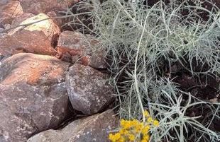 Villa Botanica - Lush Garden and Pool Oasis - Foto 60