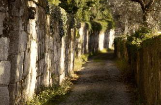 Casa Poesia - Santar - Foto 41