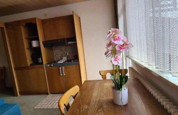 Appartement Klausenhof mit schönem Balkon - Pension Hauber - Foto 14