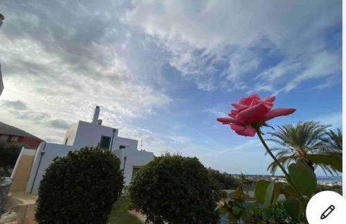 Island Away Chersonisos - Foto 34